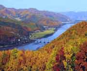 林口天氣預(yù)報(bào)7天