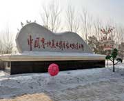 綏化天氣預(yù)報(bào)40天