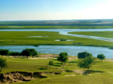 杜爾伯特明天天氣