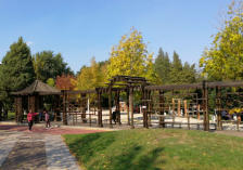 新?lián)崽鞖忸A報15天