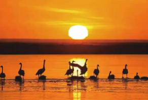 阿巴嘎旗天氣預(yù)報(bào)40天