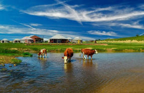 正藍(lán)旗后天天氣