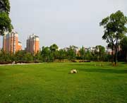 大寧天氣預(yù)報(bào)7天