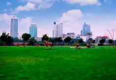 濰城天氣預(yù)報7天