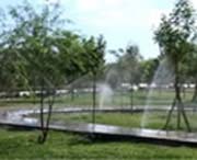 若羌天氣預(yù)報(bào)30天