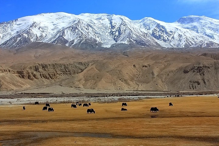 塔什庫爾干后天天氣