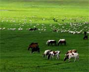 海北州后天天氣