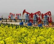 慶陽(yáng)今天天氣