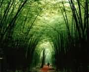 洛寧天氣預報7天