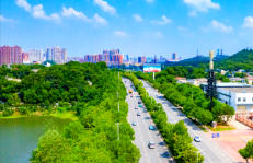 黃石港天氣預(yù)報(bào)15天