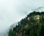 來(lái)鳳今天天氣