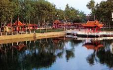 龍子湖天氣預報40天