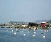 連江天氣預(yù)報7天