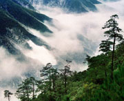 鉛山天氣預(yù)報40天