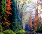 桑植天氣預(yù)報(bào)60天