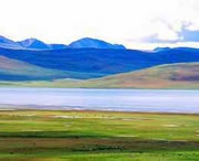 務(wù)川天氣預(yù)報15天