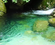 獨(dú)山后天天氣