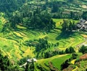 思南天氣預報15天