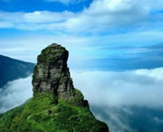 印江天氣預(yù)報15天