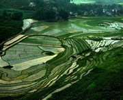 貞豐天氣預(yù)報7天