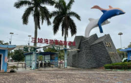 欽南天氣預(yù)報7天