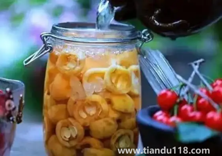 放了6年的枇杷泡酒還能喝嗎2