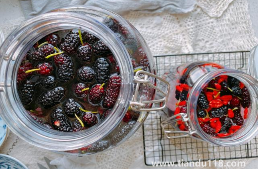 桑葚泡酒多久把桑葚渣撈出來3