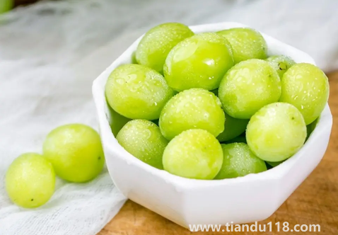 陽光玫瑰葡萄和晴王葡萄是一個品種嗎3