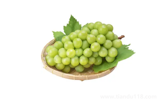 陽光玫瑰葡萄和晴王葡萄是一個品種嗎2