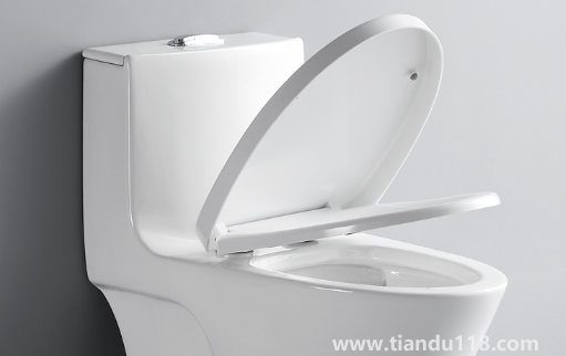 馬桶圈裂了有單賣(mài)的嗎(馬桶坐的那個(gè)圈壞了怎么辦)(圖1) 馬桶圈裂了有單賣(mài)的嗎1