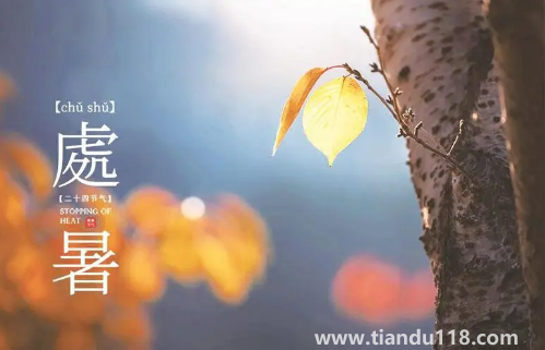 2022處暑之后天氣會涼快一些嗎1