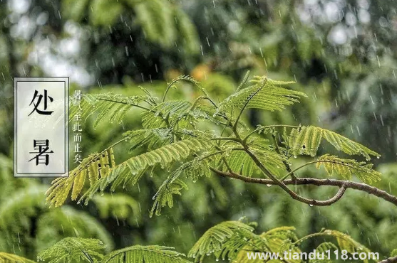 2022處暑之后天氣會涼快一些嗎2