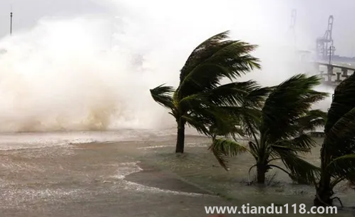 2022年為什么臺(tái)風(fēng)這么少3