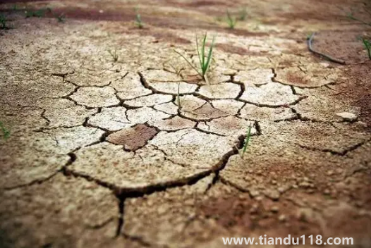 2022年為什么干旱地區(qū)多（干旱有什么危害）