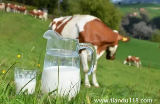 牛初乳的功效與作用及副作用(牛初乳怎么吃效果好)(圖3) 牛初乳的功效與作用及副作用3