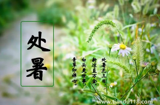 2022年處暑是幾月幾號幾點幾分幾秒鐘(處暑吃什么)(圖3) 2022年處暑是幾月幾號幾點幾分幾秒鐘3