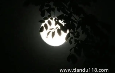 2022河南中秋節(jié)高速公路免費(fèi)嗎(中秋節(jié)放假是從哪一年開(kāi)始的)(圖2) 2022河南中秋節(jié)高速公路免費(fèi)嗎2