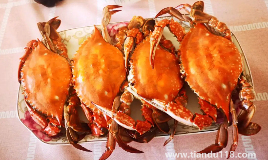 蒸梭子蟹放鹽還是不放鹽好吃(清蒸梭子蟹的做法)(圖2) 蒸梭子蟹放鹽還是不放鹽好吃2