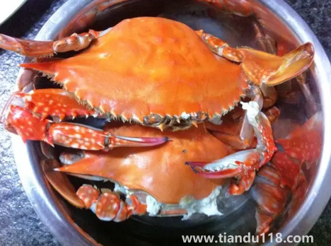 凍梭子蟹是不是要化凍了才能炒(梭子蟹怎么炒好吃又簡單)(圖3) 凍梭子蟹是不是要化凍了才能炒3