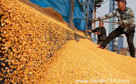 預(yù)言饑荒馬上要來了真的假的(中國是哪年鬧的饑荒)(圖3) 預(yù)言饑荒馬上要來了真的假的3