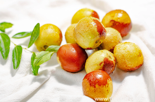 冬棗怎么吃簡單好吃（冬棗可以放幾天）