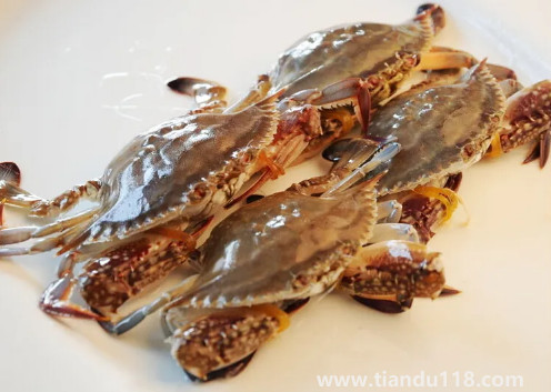 梭子蟹用高壓鍋蒸多長(zhǎng)時(shí)間(梭子蟹哪些人不能吃)(圖3) 梭子蟹用高壓鍋蒸多長(zhǎng)時(shí)間3