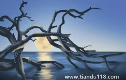 2023年兔年犯月是幾月(屬兔幾月犯月最嚴(yán)重)(圖2) 2023年兔年犯月是幾月2