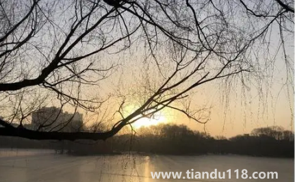 2023年兔年犯月是幾月(屬兔幾月犯月最嚴(yán)重)(圖3) 2023年兔年犯月是幾月3