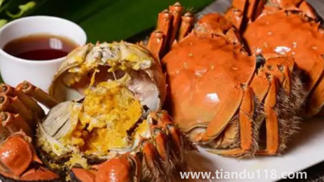 2022陽澄湖大閘蟹十月份才上市嗎(陽澄湖大閘蟹多少錢一個)(圖3) 2022陽澄湖大閘蟹十月份才上市嗎3