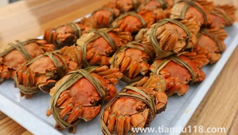 2022陽澄湖大閘蟹十月份才上市嗎(陽澄湖大閘蟹多少錢一個)(圖2) 2022陽澄湖大閘蟹十月份才上市嗎2