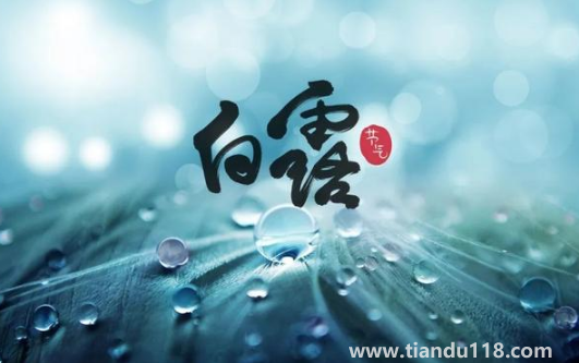 2022白露當(dāng)天出生好還是白露后出生好3