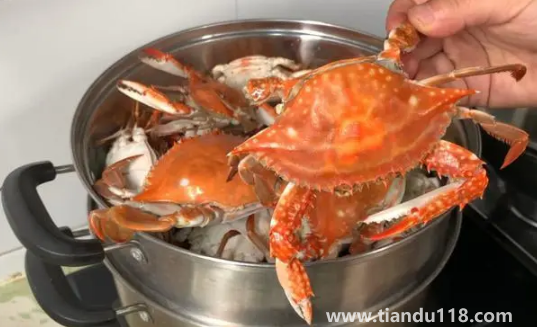 死梭子蟹吃了會有什么后果(吃梭子蟹的注意事項)(圖2) 死梭子蟹吃了會有什么后果2