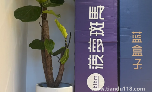 藍(lán)盒子和菠蘿斑馬哪個好（藍(lán)盒子和菠蘿斑馬床墊的優(yōu)勢）