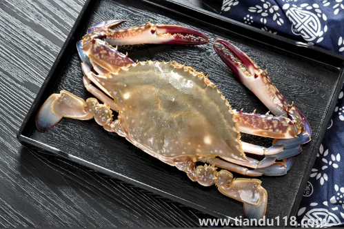 今天買的梭子蟹明天吃怎么辦（梭子蟹怎么挑選）